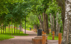 В Челябинске 25,4 млн рублей выделили на благоустройство парка «Плодушка»