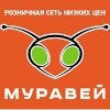 Муравей