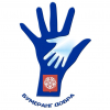 Снежинская городская общественная организация помощи детям с ограниченными возможностями и молодым инвалидам «Бумеранг добра»
