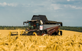 Челябинское министерство сельского хозяйства сообщило о высоких показателях аграрной отрасли