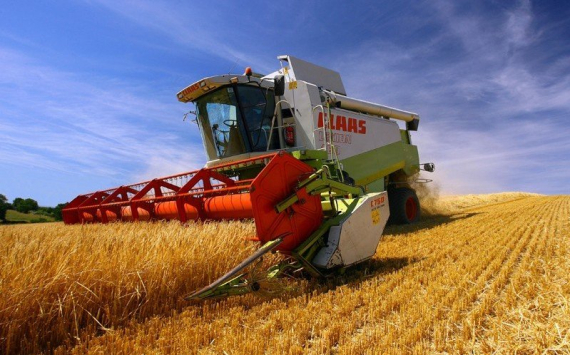 В 2019 году челябинские аграрии собрали 1,86 млн тонн зерна
