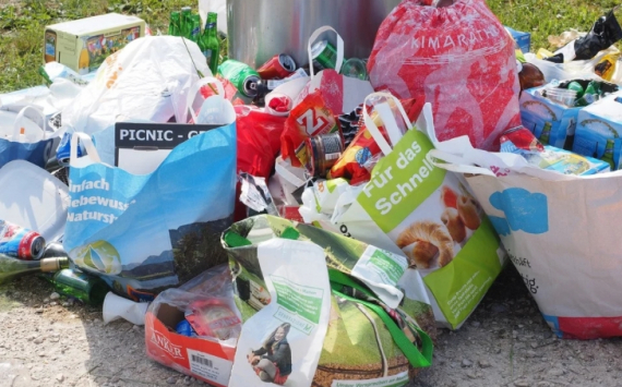 В Челябинской области из-за проблем с вывозом мусора создали спецкомиссию