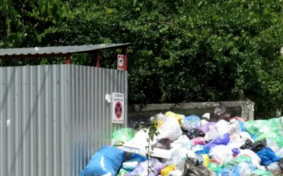В Челябинской области мусорным операторам направят 213 млн рублей субсидий
