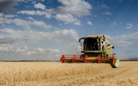 В Челябинской области приобретут сельхозтехнику на сумму более 300 млн рублей