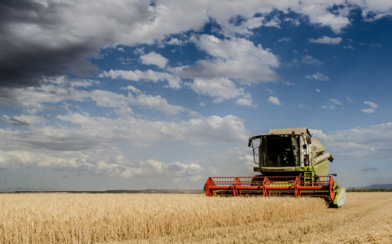 В Челябинской области на возвращение сельхозземель в оборот направят более 6 млн рублей