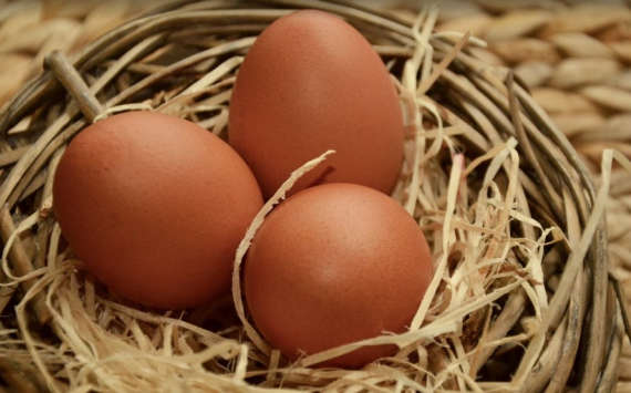 В Челябинске куриные яйца подорожали на 50%