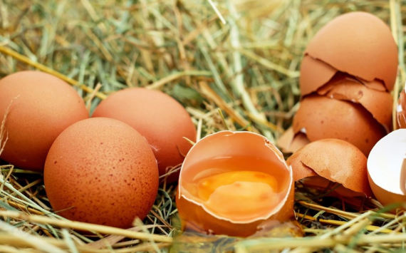 В Челябинске начали дешеветь куриные яйца