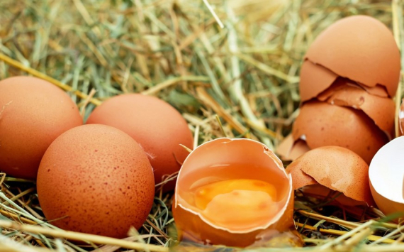 В Челябинской области яйца упали в цене на 19%